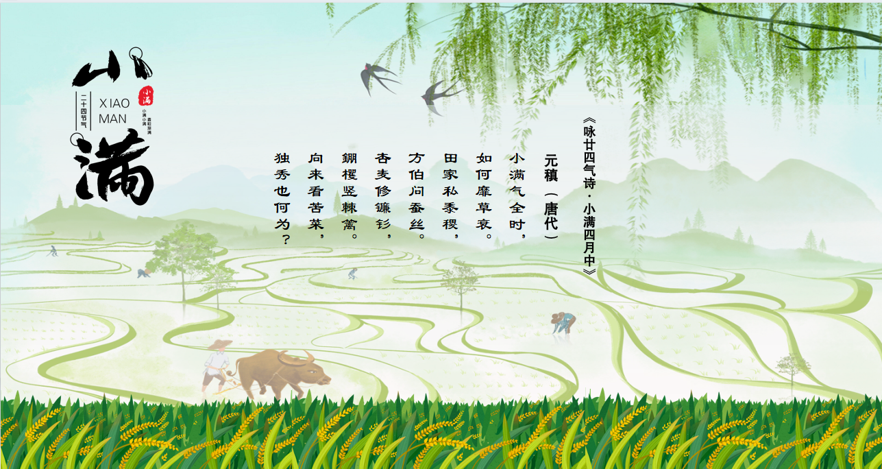 小满.png